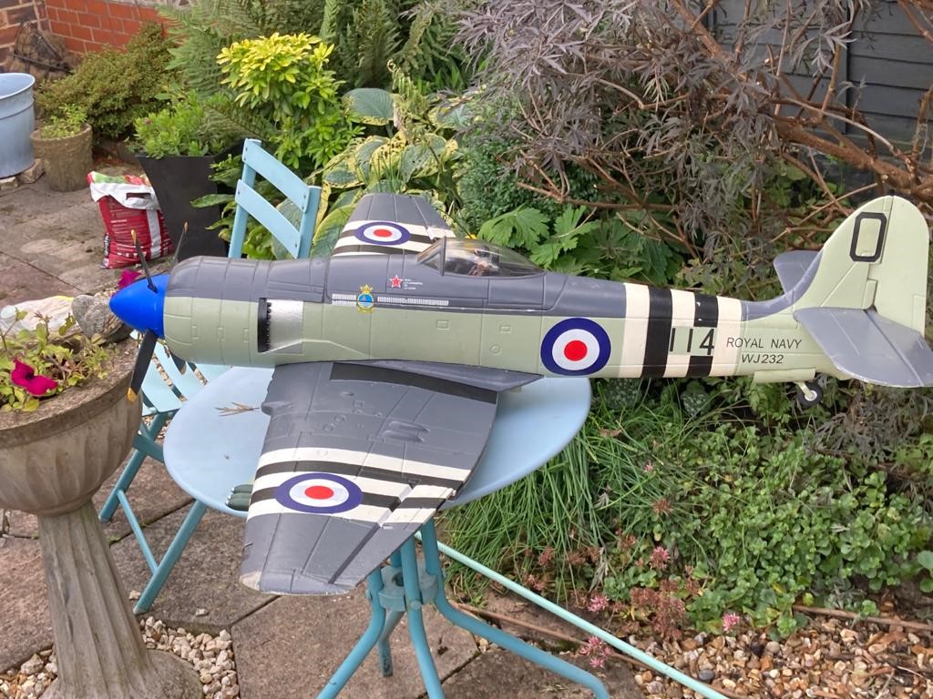 David's Sea Fury